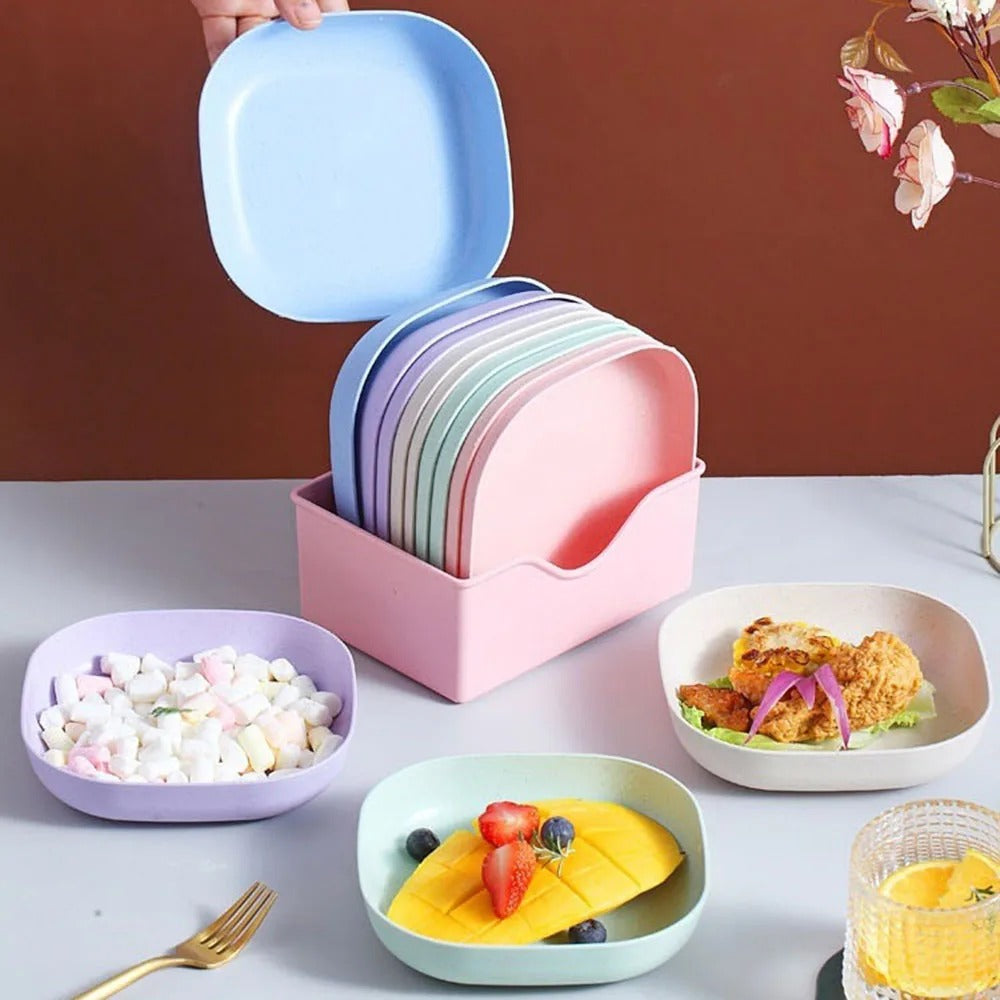 10 Pcs Plates Set - High Quality
