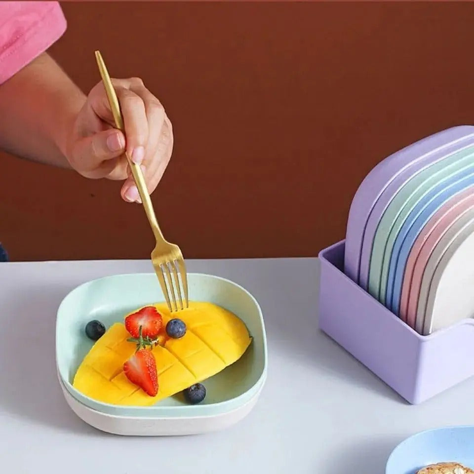 10 Pcs Plates Set - High Quality
